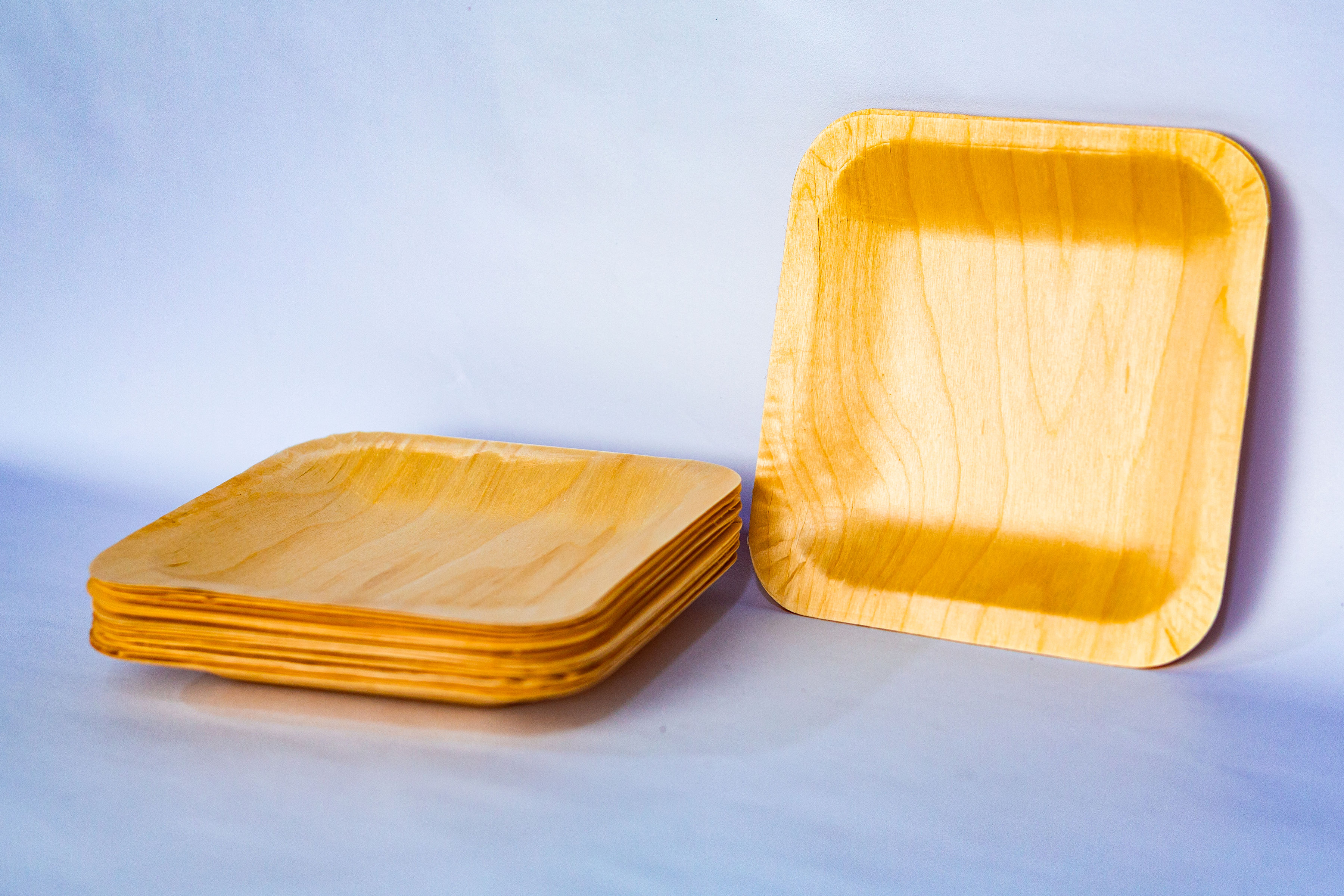 Bamboo Square Plates - Small Size