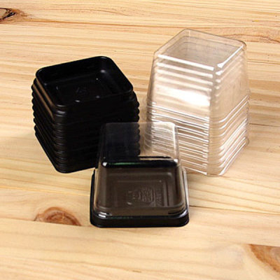 Square Shaped Pastry Container