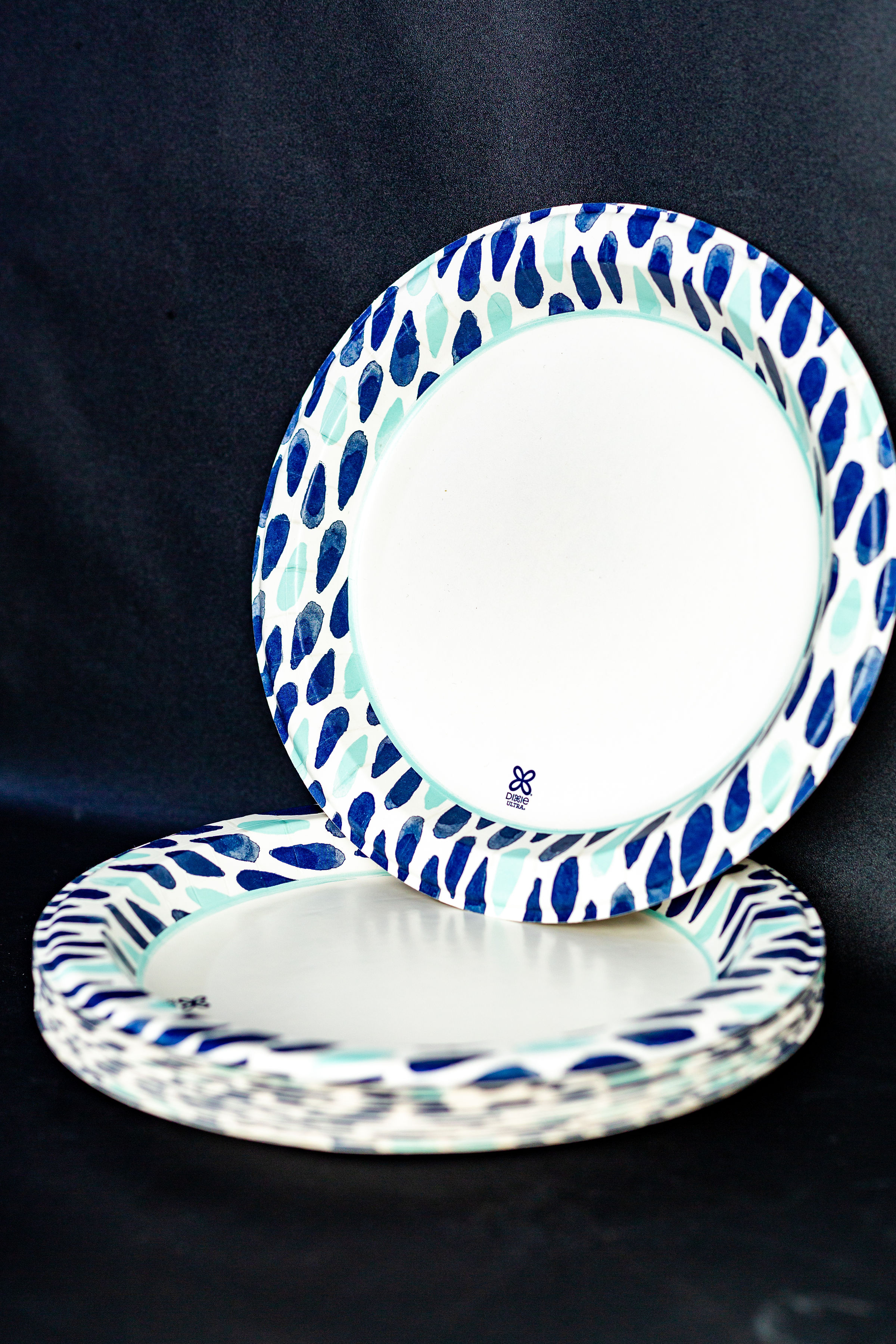 Disposable Plates hover